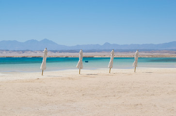 Umbrellas at Hankorab beach, Wadi El Gemal protectorate, Marsa Alam, Red Sea, Egypt