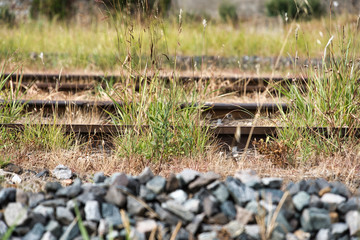 Rail