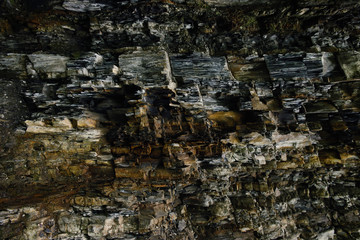 image of wildflowers growing in a field