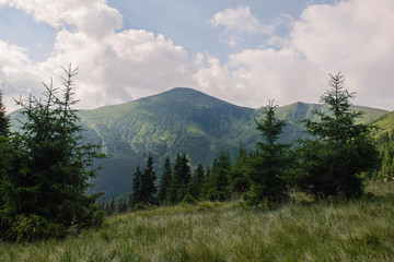Fototapeta premium image of a mountain range, forest and lawns