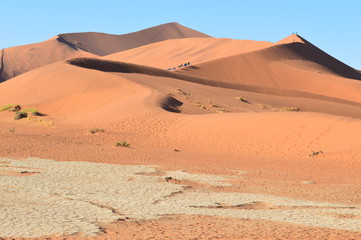 Fototapeta na wymiar Namibia (2019) - Big Daddy Namib desert