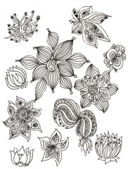 Hand drawn decorated image with flowers.