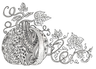Fairy doodle tungle pumpkin. Black and white monochrome background. Pumpkin and leaves. Zentangle coloring book page