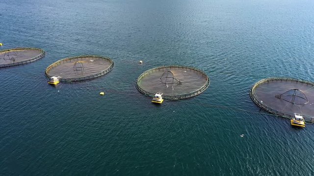 Aerial footage Farm salmon fishing in Norway