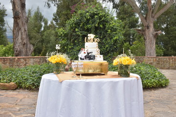 Ponque en jardin mesa flores amarillas arboles 