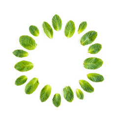 Wreath frame made of mint leaves isolated on white background. Set of peppermint. Mint Pattern. Flat lay. Top view. © K.Decor