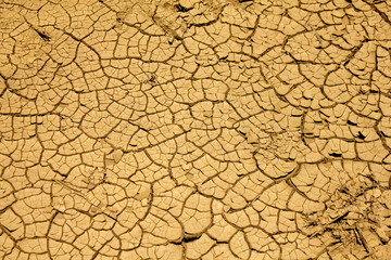 Close up on an area of mud soil that has become dry and broken for lack of water