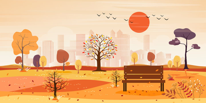 Panorama landscape of public park with bench and leaves falling on the grass,City scape background, Panoramic Urban landscape of Autumn city with  buildings behind the park in orange tone