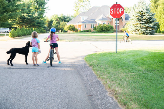 Children Riding Bikes and Walking Dog in Neighborhood