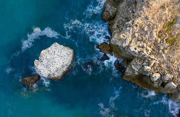 Aerial photo of a rocky seashore with vivid blue sea and a rock with landing birds