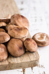 fresh shiitake in a wooden board over a wooden white table