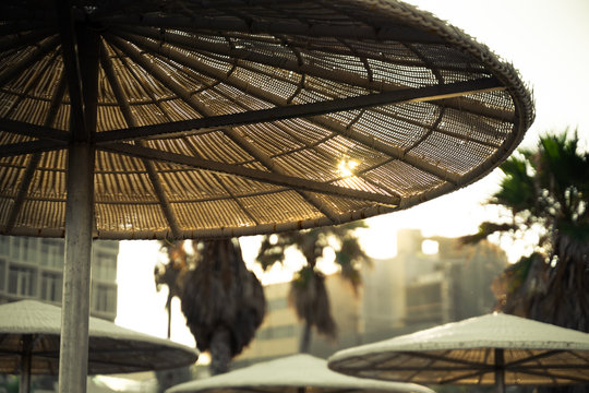 sunlight throw the beach umbrellas