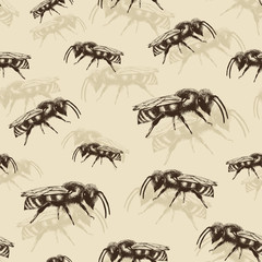 Honey bee color vector seamless pattern in engraving style on beige background