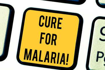 Text sign showing Cure For Malaria. Conceptual photo like Primaquine drug used against malaria for...