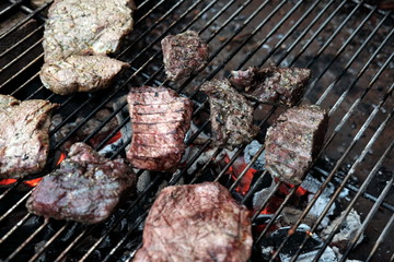 Leckere Fleischsorten auf dem Grillrost des Holzkohlengrill bei Barbecue und Grillfest auf dem...
