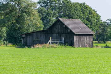 Obraz premium An old wooden barn in the middle of a field with green meadow in the foreground