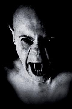 horror dracula vampire portrait