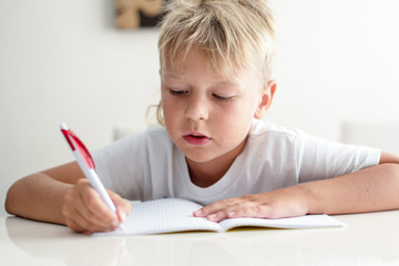 Naklejka na ściany i meble lifestyle portrait of a boy doing homework. back to school concept. 