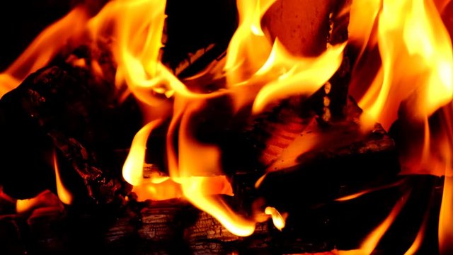 Fire burning wood logs with yellow and orange flames. Slow motion clip at half speed.