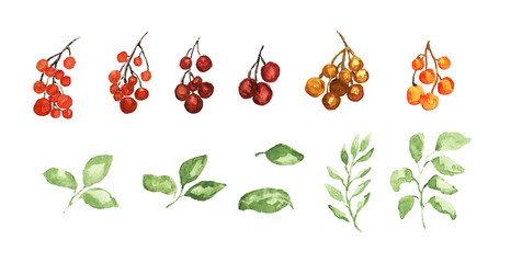 watercolor floral set