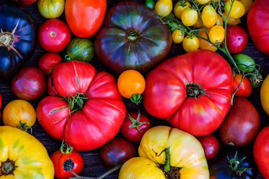 Colorful organic heirloom tomatoes