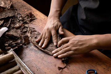 Obraz na płótnie Canvas Man hands making cigars.