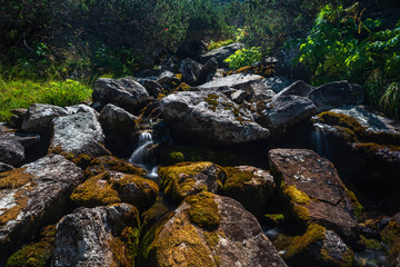 Malyovitsa river in Rila national park, Bulgaria