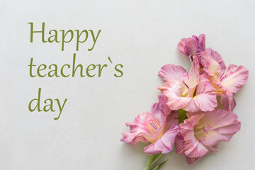 Happy teacher`s day. Happy teachers day. Greetings card for teacher's day. Postcard with pink gladiolus