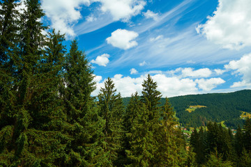 Beautiful summer landscape - countryside on hills with spruces, cloudy sky at bright sunny day. Village with wooden homes. Carpathian mountains. Ukraine. Europe. Travel background.