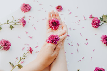 Close up photo of female hands with deep pink flowers on white background