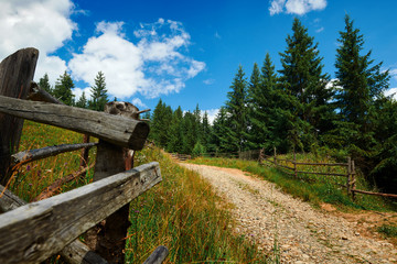 Fototapeta na wymiar Beautiful summer landscape - country road on hills with spruces, wooden fence, cloudy sky at bright sunny day. Village with wooden homes. Carpathian mountains. Ukraine. Europe. Travel background.