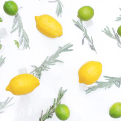 White background with lemons, limes and rosemary.