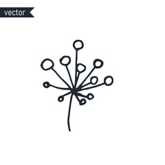 Abstract simple hand drawn outline of viburnum branch with berries on white background, vector illustration.