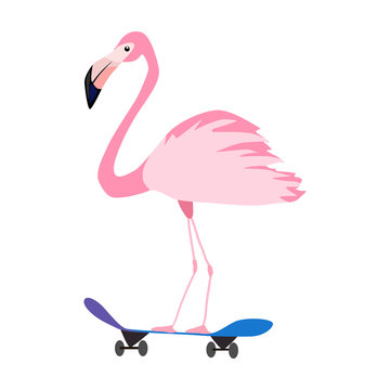  t-shirt illustration with pink flamingo on skateboard.isolated on white background