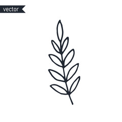 Branch with leaves outline on white background, simple vector hand drawn illustration.