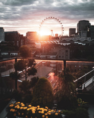 London eye sunset at night