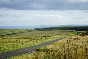 Fototapeta na wymiar Valley of Londonderry in summer, Causeway Coastal Route, Northern Ireland