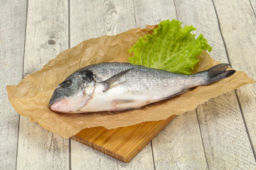 Raw Dorada fish  for cooking