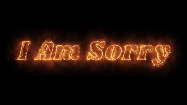 I Am Sorry Word Hot Animated Burning Realistic Fire Flame and Smoke Seamlessly loop Animation on Isolated Black Background. Fire Word, Fire Text, Flame word, Flame Text, Burning Word, Burning Text.