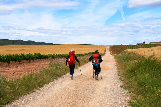 Two girls walking the Camino de Santiago in Spain, immersed in a peaceful countryside, surrounded by meadow fields in a beautiful summer day under a blue sky scattered with expressive clouds