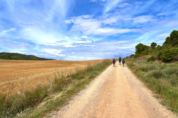 People walking the Camino de Santiago in Spain, immersed in a peaceful countryside,  surrounded by meadow fields in a beautiful summer day under a blue sky scattered with expressive clouds