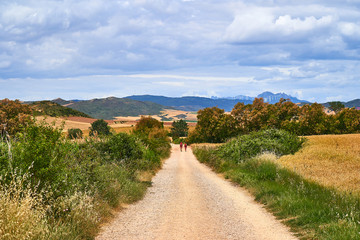 People walking the Camino de Santiago in Spain, immersed in a peaceful countryside, surrounded by meadow fields in a beautiful summer day under beautiful cloudy sky