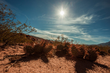 Deserts of Argentina