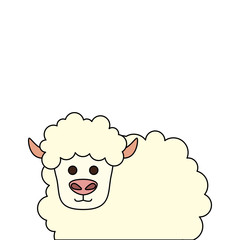 cute little sheep animal farm