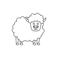 cute little sheep animal farm