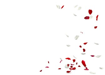 Red and white rose petals fall to the floor
