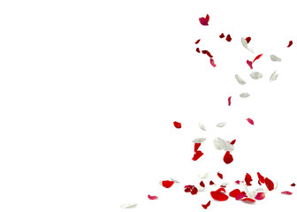 Red and white rose petals fall to the floor. 3D illustration