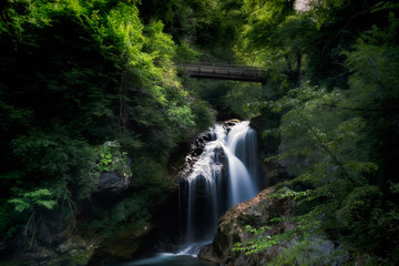 Vintgar Gorge © Bogdan