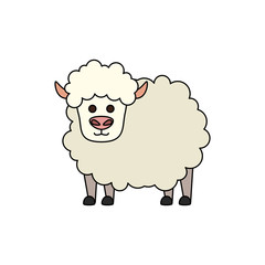 cute little sheep animal farm