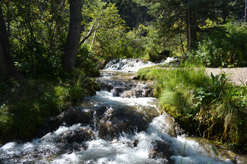 Naklejka na ściany i meble Fresh natural spring water running through forest